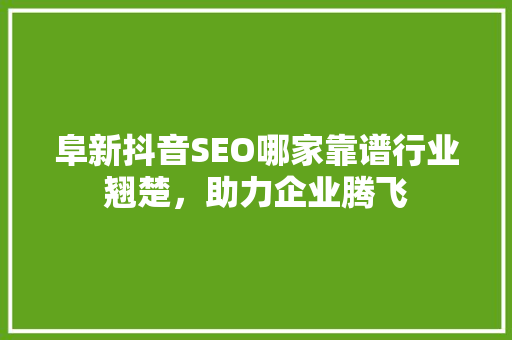 阜新抖音SEO哪家靠谱行业翘楚，助力企业腾飞