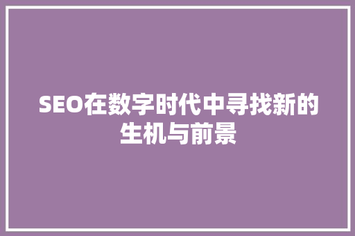 SEO在数字时代中寻找新的生机与前景