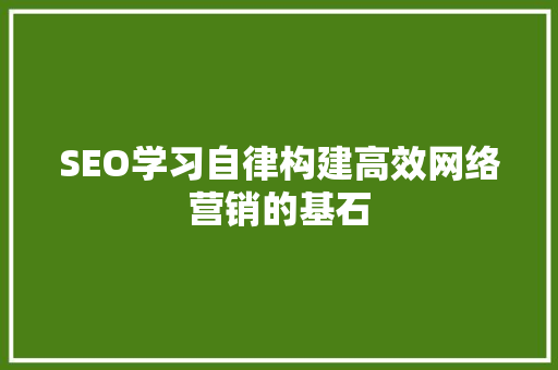 SEO学习自律构建高效网络营销的基石