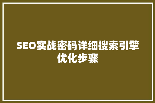 SEO实战密码详细搜索引擎优化步骤