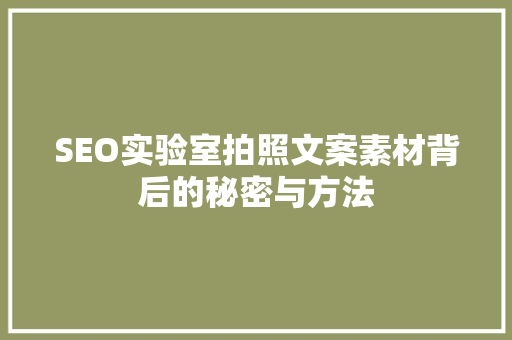 SEO实验室拍照文案素材背后的秘密与方法