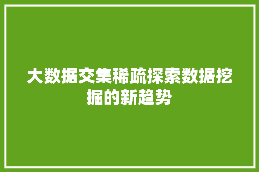 大数据交集稀疏探索数据挖掘的新趋势