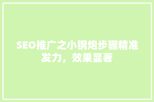 SEO推广之小钢炮步骤精准发力，效果显著