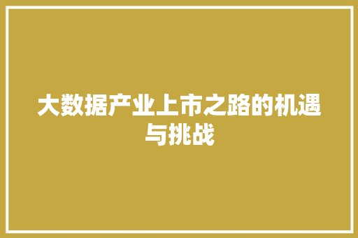 大数据产业上市之路的机遇与挑战