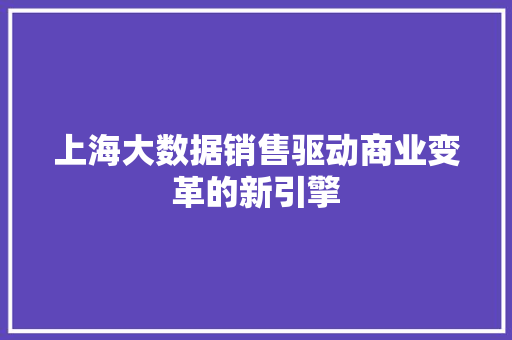 上海大数据销售驱动商业变革的新引擎