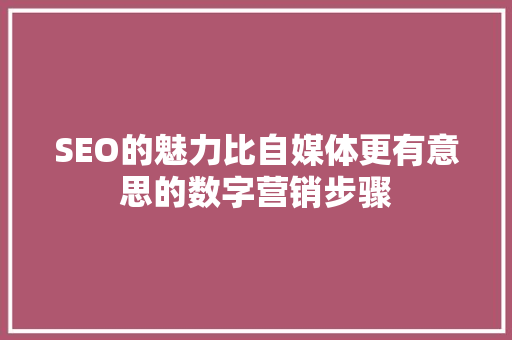 SEO的魅力比自媒体更有意思的数字营销步骤