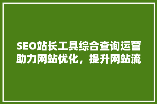 SEO站长工具综合查询运营助力网站优化，提升网站流量与排名
