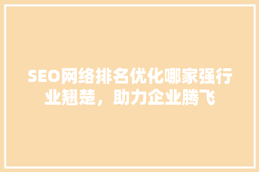 SEO网络排名优化哪家强行业翘楚，助力企业腾飞