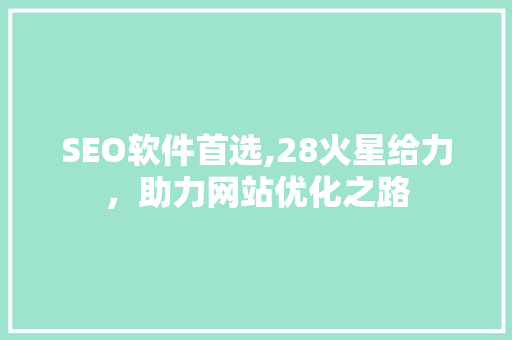 SEO软件首选,28火星给力，助力网站优化之路