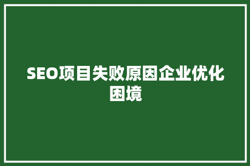 SEO项目失败原因企业优化困境