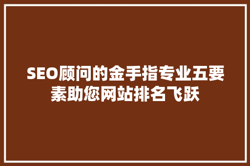 SEO顾问的金手指专业五要素助您网站排名飞跃