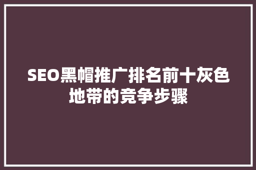 SEO黑帽推广排名前十灰色地带的竞争步骤