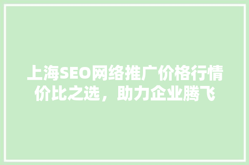 上海SEO网络推广价格行情价比之选，助力企业腾飞