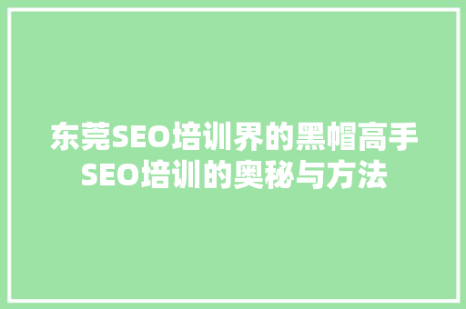 东莞SEO培训界的黑帽高手SEO培训的奥秘与方法