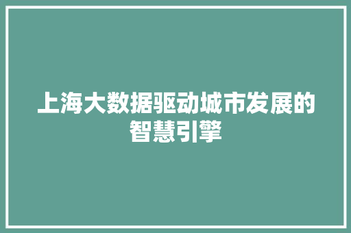 上海大数据驱动城市发展的智慧引擎