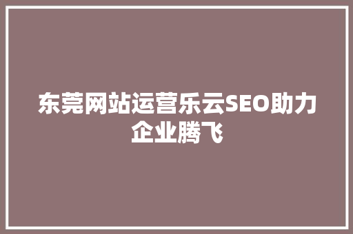 东莞网站运营乐云SEO助力企业腾飞