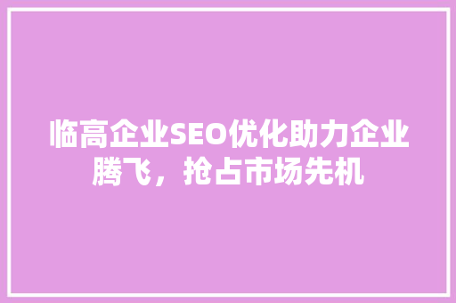 临高企业SEO优化助力企业腾飞，抢占市场先机