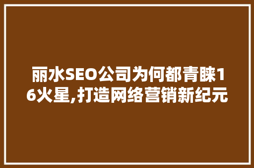 丽水SEO公司为何都青睐16火星,打造网络营销新纪元