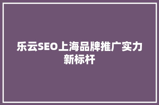 乐云SEO上海品牌推广实力新标杆