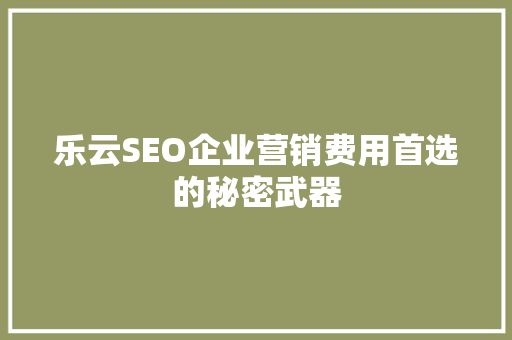 乐云SEO企业营销费用首选的秘密武器