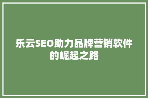 乐云SEO助力品牌营销软件的崛起之路