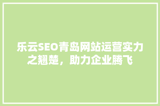 乐云SEO青岛网站运营实力之翘楚，助力企业腾飞