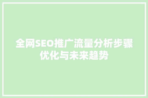 全网SEO推广流量分析步骤优化与未来趋势