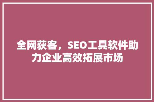 全网获客，SEO工具软件助力企业高效拓展市场