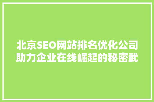 北京SEO网站排名优化公司助力企业在线崛起的秘密武器