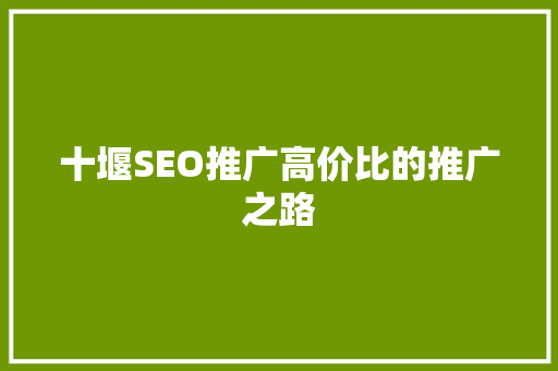 十堰SEO推广高价比的推广之路