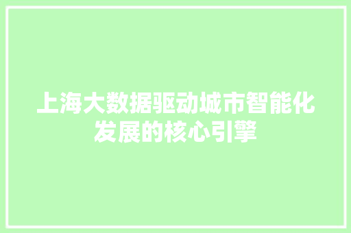 上海大数据驱动城市智能化发展的核心引擎