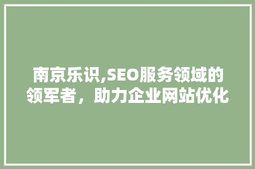 南京乐识,SEO服务领域的领军者，助力企业网站优化腾飞