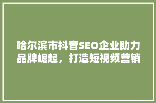 哈尔滨市抖音SEO企业助力品牌崛起，打造短视频营销新格局