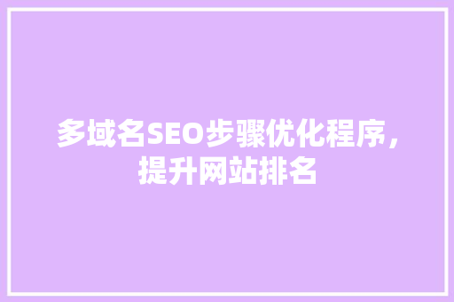 多域名SEO步骤优化程序，提升网站排名
