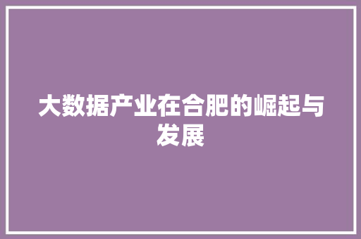 大数据产业在合肥的崛起与发展  第1张