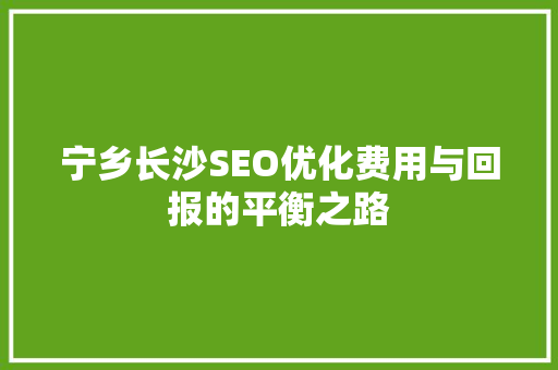 宁乡长沙SEO优化费用与回报的平衡之路