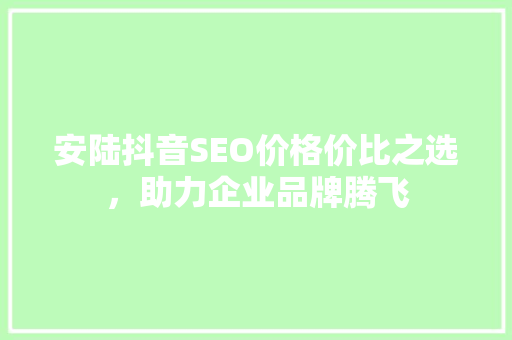 安陆抖音SEO价格价比之选，助力企业品牌腾飞