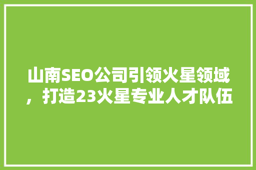 山南SEO公司引领火星领域，打造23火星专业人才队伍
