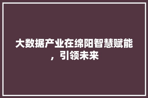 大数据产业在绵阳智慧赋能，引领未来  第1张