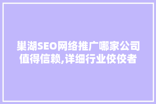 巢湖SEO网络推广哪家公司值得信赖,详细行业佼佼者