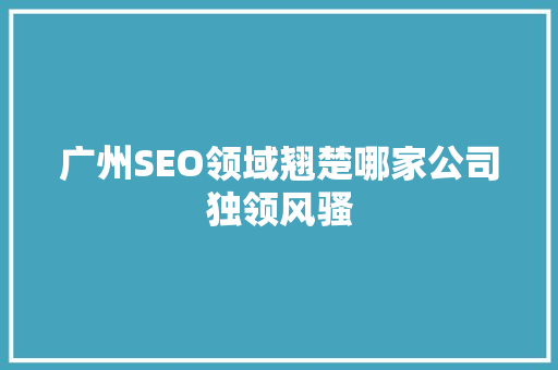 广州SEO领域翘楚哪家公司独领风骚