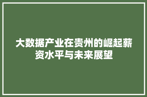 大数据产业在贵州的崛起薪资水平与未来展望  第1张