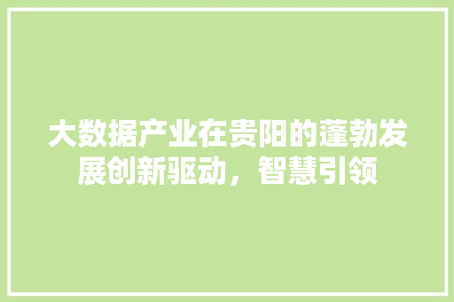 大数据产业在贵阳的蓬勃发展创新驱动，智慧引领  第1张