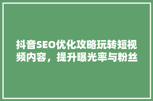 抖音SEO优化攻略玩转短视频内容，提升曝光率与粉丝互动