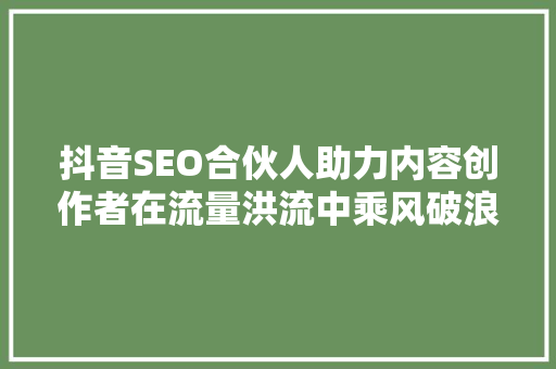 抖音SEO合伙人助力内容创作者在流量洪流中乘风破浪