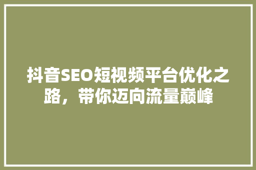 抖音SEO短视频平台优化之路，带你迈向流量巅峰