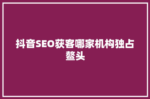 抖音SEO获客哪家机构独占鳌头
