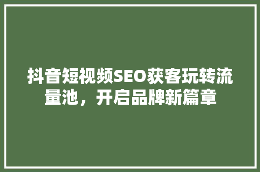 抖音短视频SEO获客玩转流量池，开启品牌新篇章  第1张