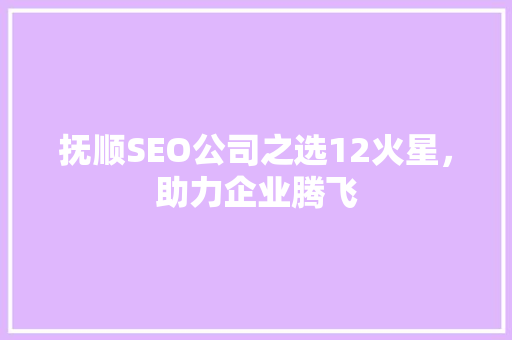抚顺SEO公司之选12火星，助力企业腾飞