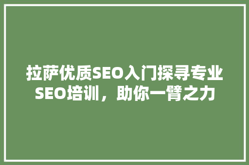 拉萨优质SEO入门探寻专业SEO培训，助你一臂之力  第1张